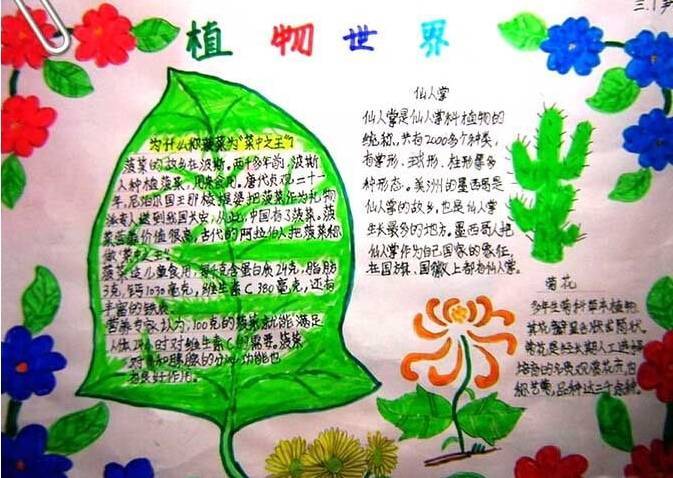 有四幅图的动植物手抄报 植物园手抄报
