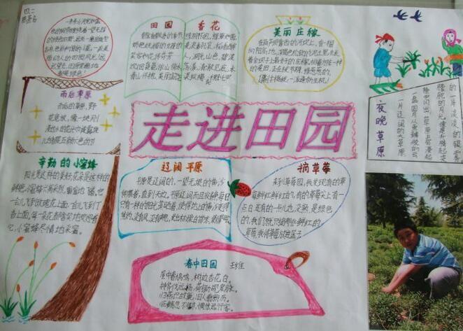 田园诗风花雪月手抄报 田园风光手抄报