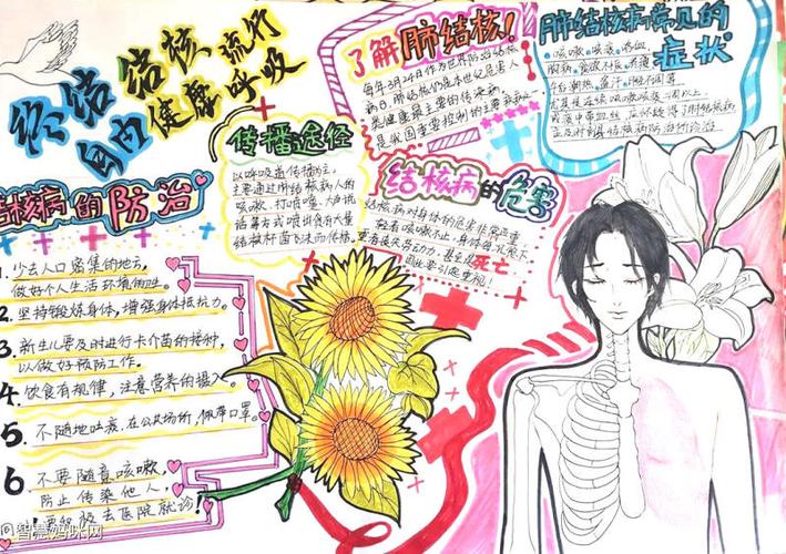 保护健康预防肺结核手抄报 保护手抄报