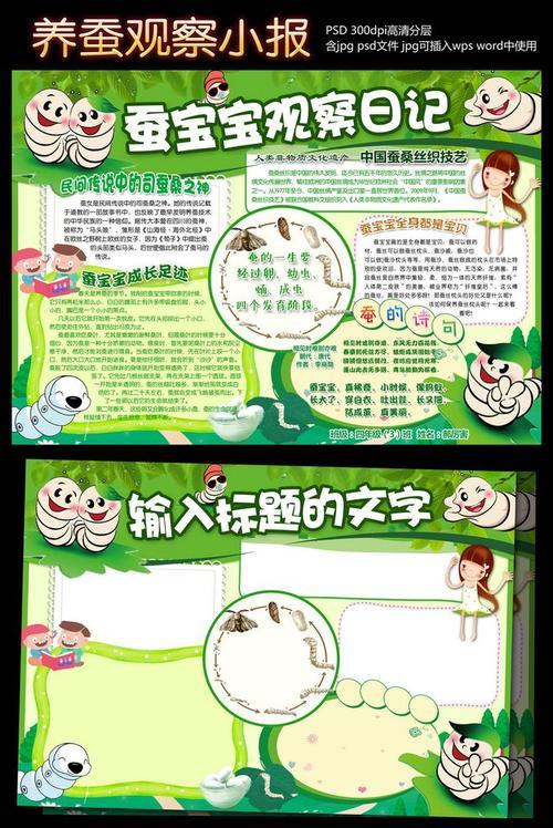 小学科学养蚕手抄报 小学科技手抄报