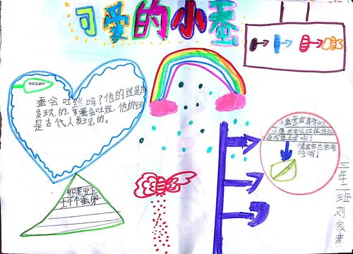 小学科学养蚕手抄报 小学科技手抄报
