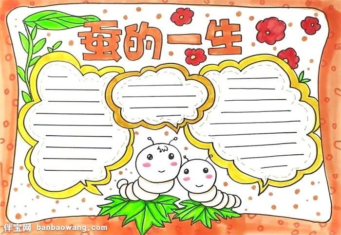 小学科学养蚕手抄报 小学科技手抄报