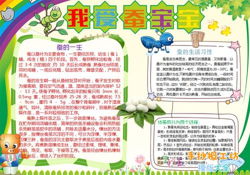 小学科学养蚕手抄报 小学科技手抄报