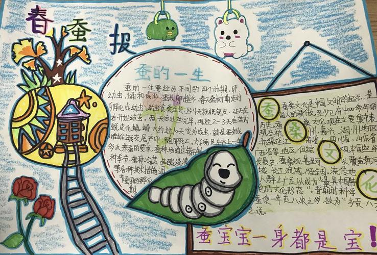 小学科学养蚕手抄报 小学科技手抄报