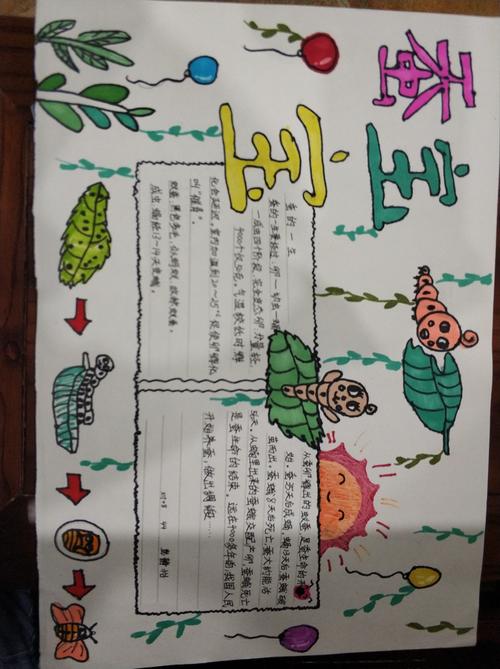 小学科学养蚕手抄报 小学科技手抄报