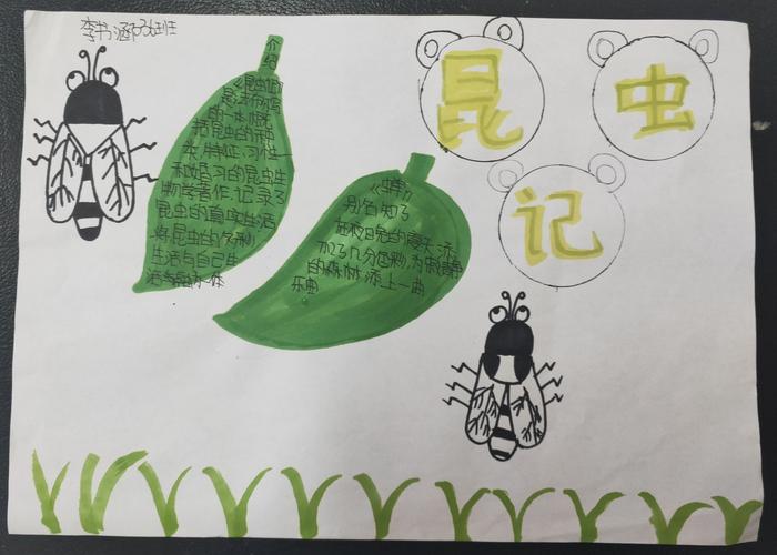 昆虫备忘录简单又好看手抄报 简单好看的手抄报