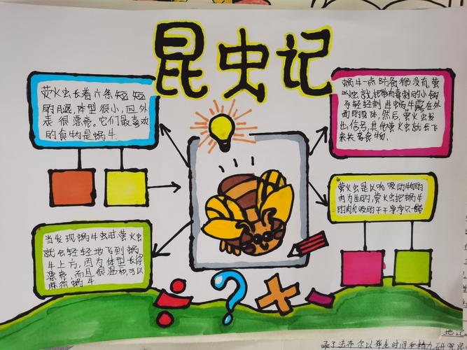 昆虫备忘录简单又好看手抄报 简单好看的手抄报