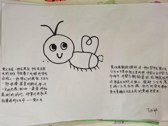 昆虫备忘录简单又好看手抄报 简单好看的手抄报