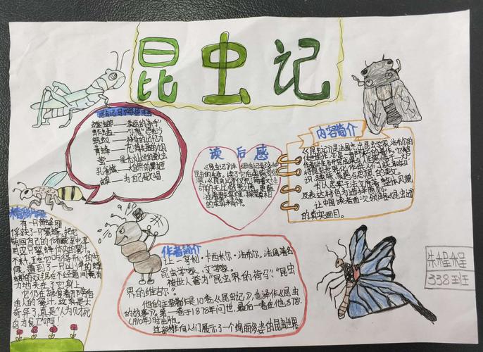昆虫备忘录简单又好看手抄报 简单好看的手抄报