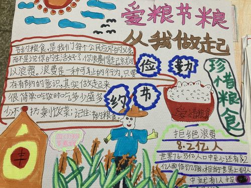 爱粮节粮不负粮心手抄报 手抄报图片大全集