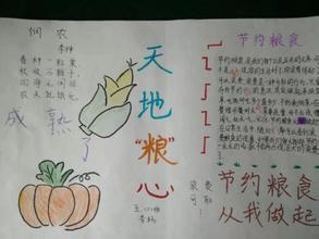 爱粮节粮不负粮心手抄报 手抄报图片大全集