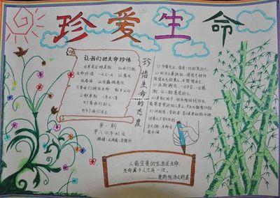 珍惜生命安全文明出行手抄报 珍惜生命手抄报