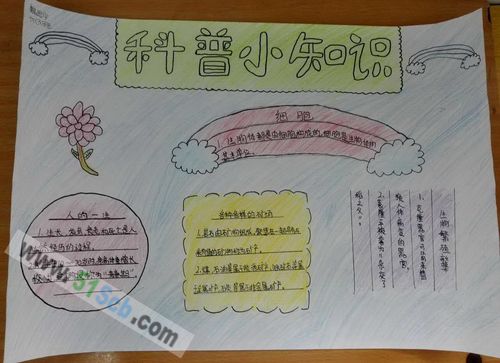 关于科普知识类的手抄报 科普知识手抄报