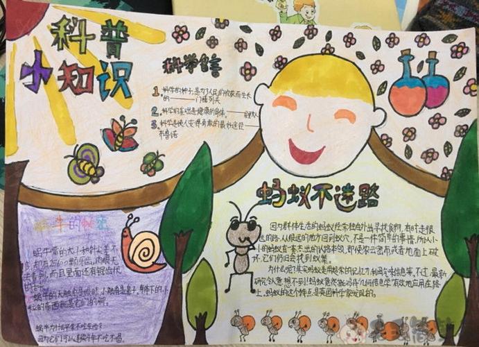 关于科普知识类的手抄报 科普知识手抄报
