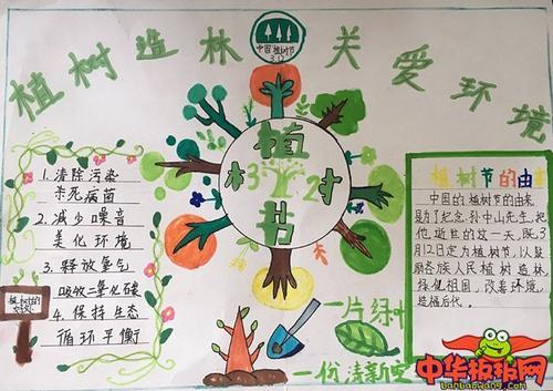 植树节手简单手抄报 植树节手抄报