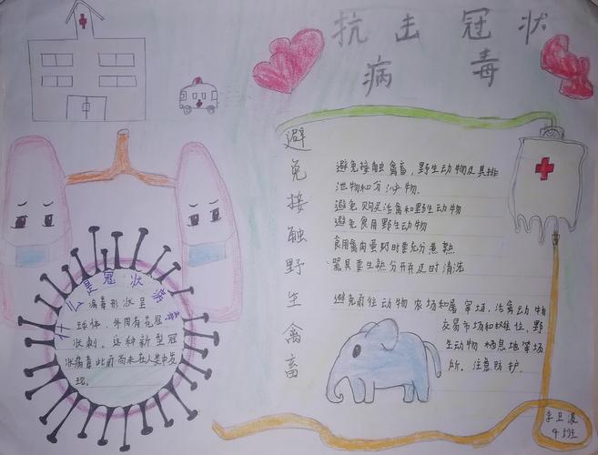 有关抗击新冠状病毒手抄报 手抄报模板大全