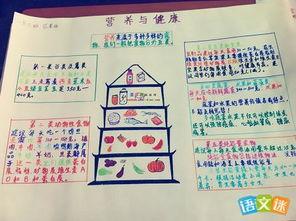 一份健康的早餐手抄报 健康的手抄报