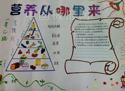 一份健康的早餐手抄报 健康的手抄报