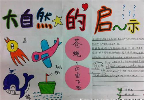 简单的大自然启示的手抄报 大自然手抄报