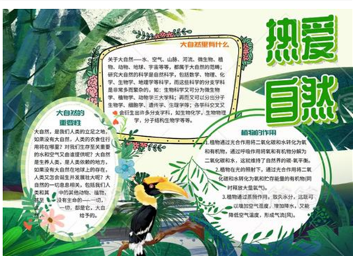 简单的大自然启示的手抄报 大自然手抄报