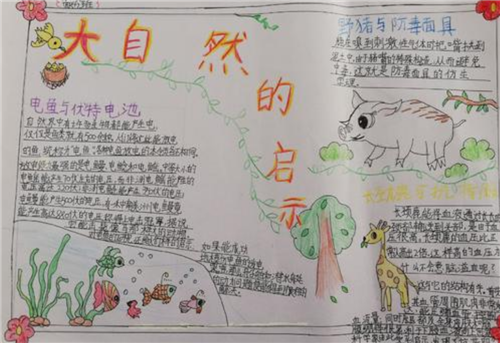 简单的大自然启示的手抄报 大自然手抄报