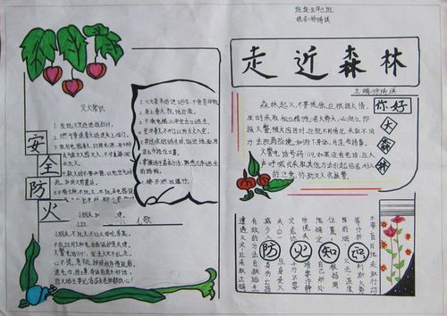 防山林火灾的手抄报 防震减灾的手抄报