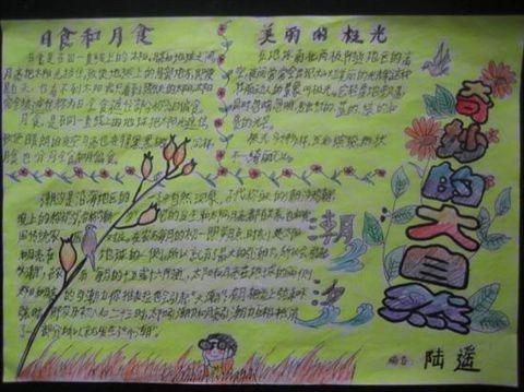 草地里的秘密手抄报 手抄报图画