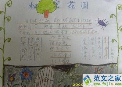 草地里的秘密手抄报 手抄报图画