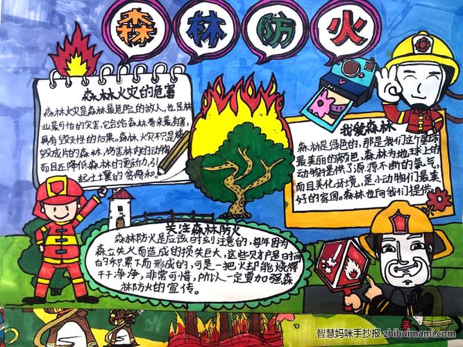 防山林火灾的手抄报 防震减灾的手抄报