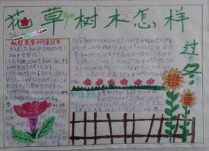 草地里的秘密手抄报 手抄报图画
