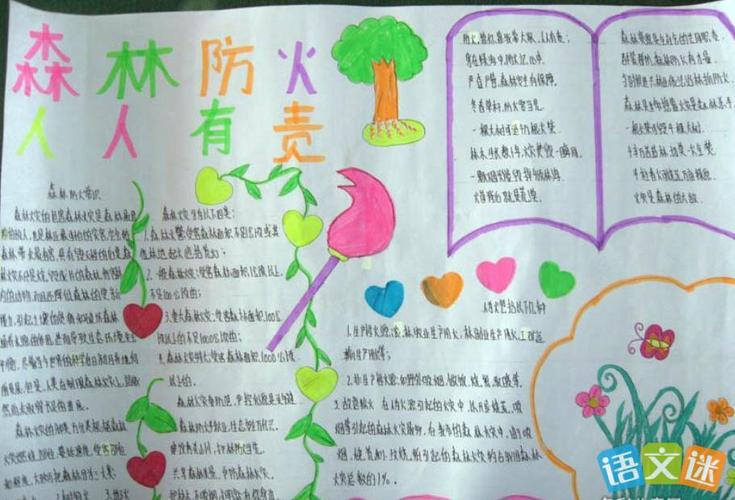防山林火灾的手抄报 防震减灾的手抄报