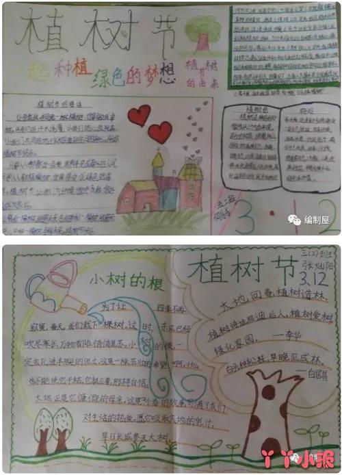 通用的全国一等奖好看手抄报 全国一等奖手抄报