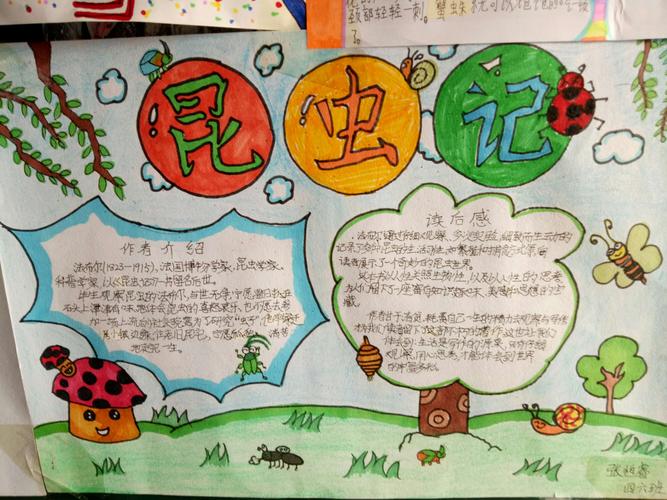 昆虫记的读书手抄报 昆虫记手抄报
