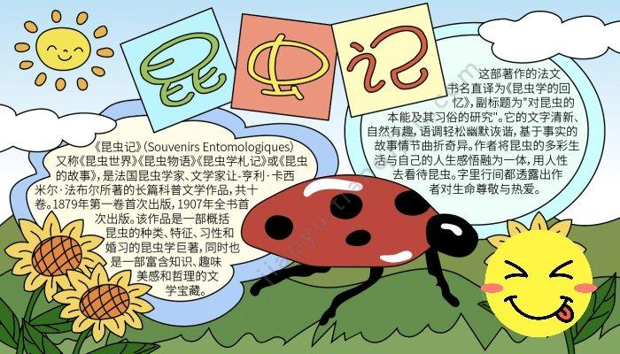 昆虫记的读书手抄报 昆虫记手抄报