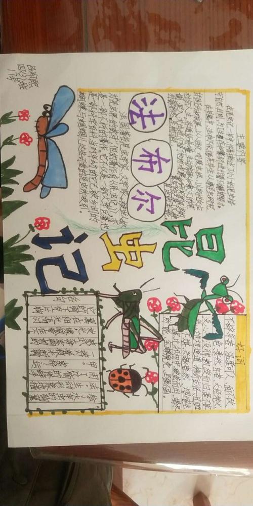 昆虫记的读书手抄报 昆虫记手抄报