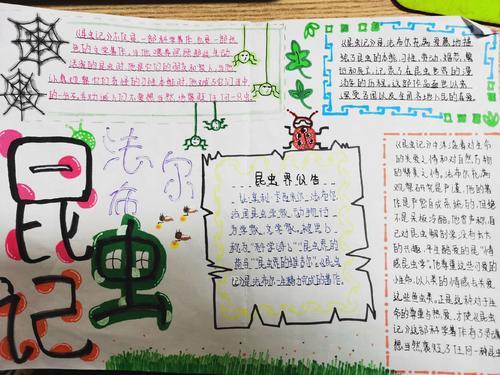 昆虫记的读书手抄报 昆虫记手抄报