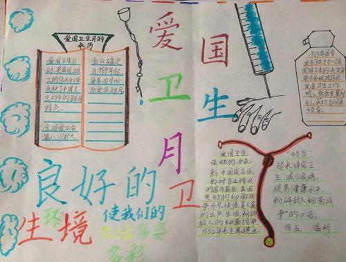 爱国卫生八项行动获奖手抄报 爱国卫生手抄报