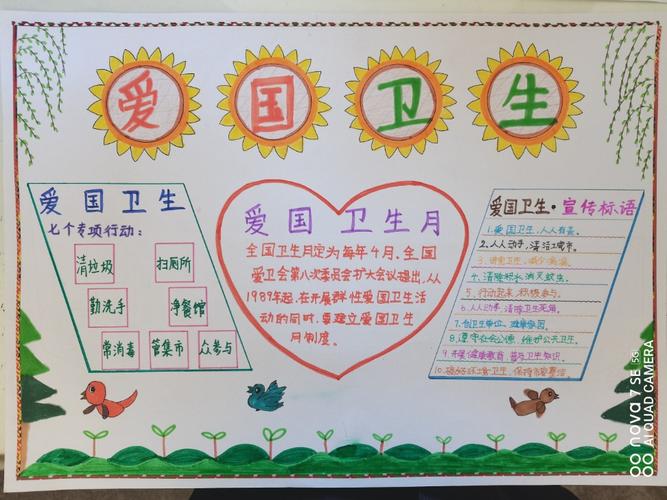 有关爱国卫生月的手抄报 爱国卫生手抄报