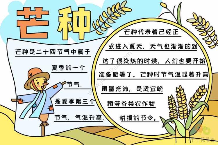 芒种手抄报图片 手抄报图片大全