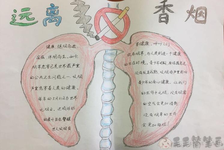 吸烟有害健康有关的手抄报 健康的手抄报