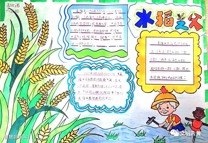 袁爷爷我想对你说手抄报 手抄报图片大全集