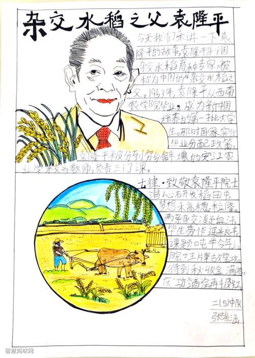 袁爷爷我想对你说手抄报 手抄报图片大全集