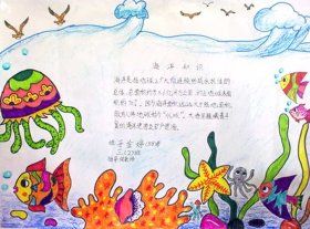 简单又好看的海底手抄报 简单好看的手抄报