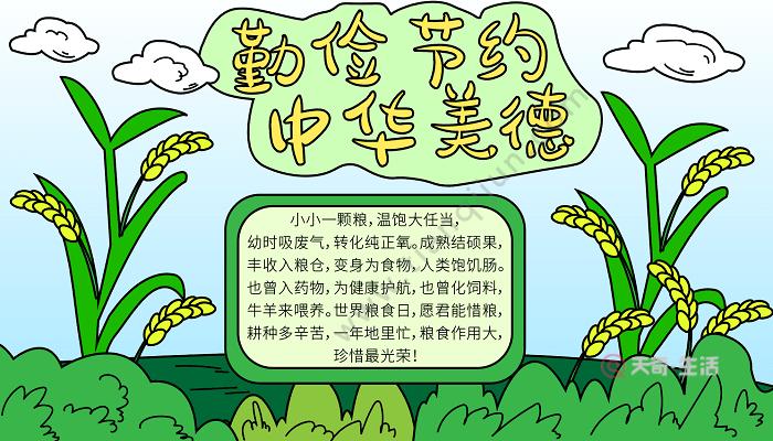 节约粮食大道理手抄报 节约粮食手抄报