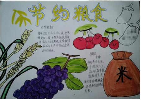 节约粮食大道理手抄报 节约粮食手抄报