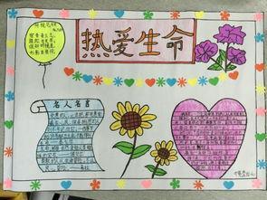 四年级小学主题手抄报 小学四年级手抄报