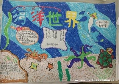 简单又好看的海底手抄报 简单好看的手抄报