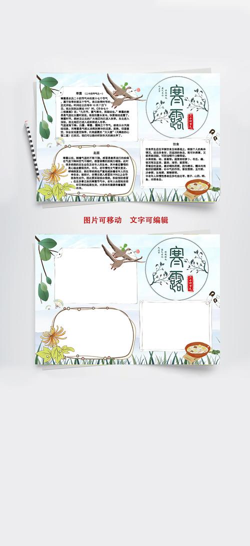 寒露节气知识手抄报 24节气手抄报