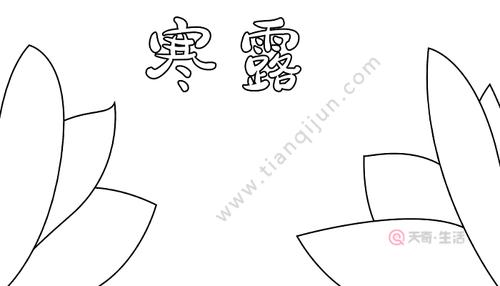 寒露节气知识手抄报 24节气手抄报