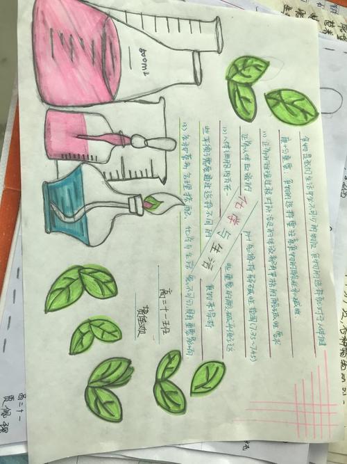 化学简单好看的手抄报 简单好看的手抄报